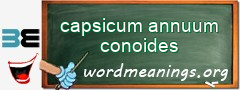 WordMeaning blackboard for capsicum annuum conoides